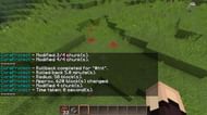 Image via Minecraft